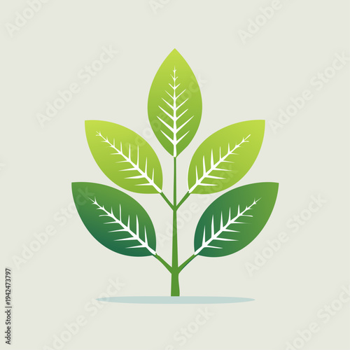 Minimalist green plant with five leaves on light background