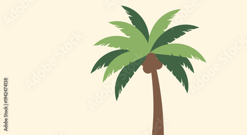 Minimalist palm tree with green leaves and coconuts