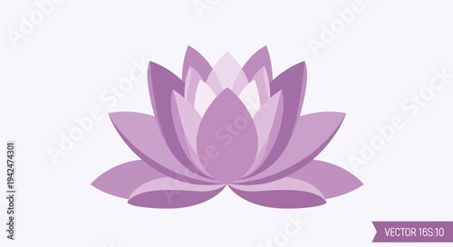 Minimalist purple lotus flower bloom on white background
