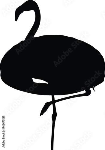 Silhouette of a flamingo standing on one leg vector design