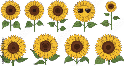 Set of vibrant yellow sunflower vector illustrations featuring realistic blooming flowers with green leaves and a cute smiley face character wearing sunglasses for summer.