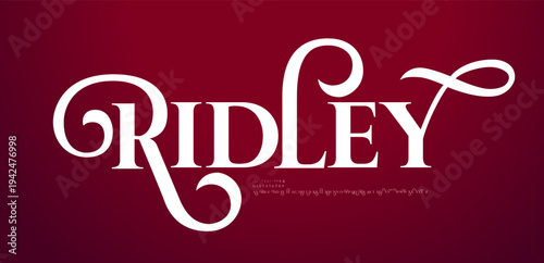 Vintage retro alphabet letters logo font and number. Typography Elegant Luxury classic lettering serif decorative fonts wedding concept. vector illustration