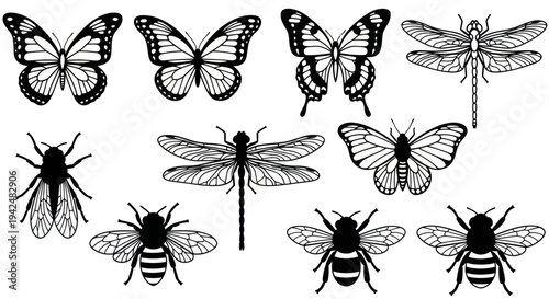 Collection of Butterfly and Dragonfly Illustrations, Vector Insects