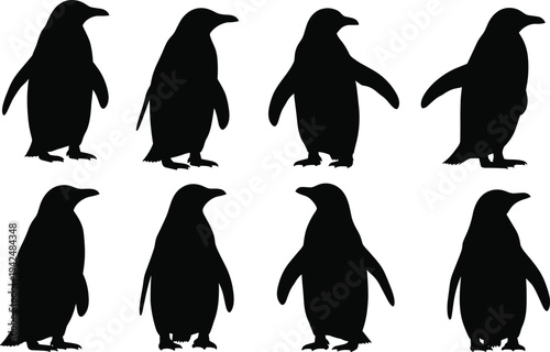 Collection of eight black penguin silhouettes in various poses and views isolated on white background for wildlife and nature designs
