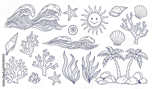 Coral Reef Illustration