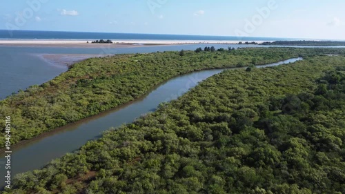 Wallpaper Mural Drone Aerial of River Flowing Through Mangrove Forest to Sea. Coastal River Estuary Surrounded by Dense Green Mangrove Forest. Indian Mangrove Forest In Odisha. Torontodigital.ca