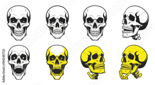 Collection of Skulls: Front, Side, Open Mouth, Yellow and White