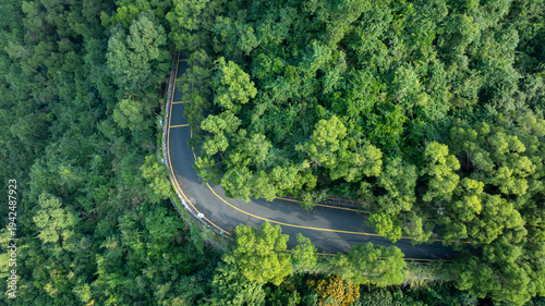 Aerial view of trail in tropical forest