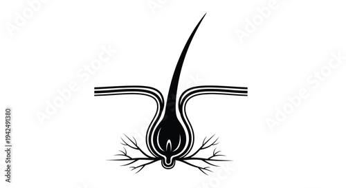 Abstract hair follicle illustration with roots a striking silhouette