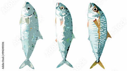 Stylized illustration of three mackerel fish shown in a row