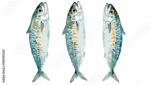 Three mackerel fish depicted in a colorful illustrative style