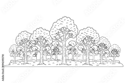Forest Trees Coloring Page – Detailed Nature Tree Line Art Printable for Kids and Adults