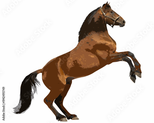 A majestic brown horse rearing upwards on its hind legs