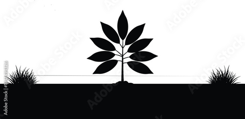 Black silhouette of young tree sapling growing in deep soil ground between grass tufts isolated on white background for nature