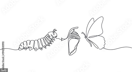 Butterfly Metamorphosis: Caterpillar, Chrysalis, Butterfly Life Cycle Continuous Line Art
