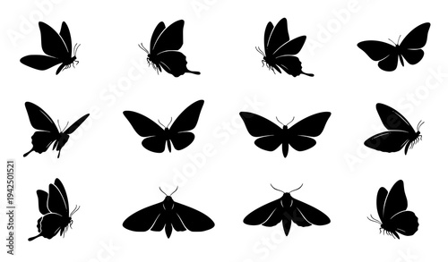 Minimal Butterfly and Moth Silhouette Vector Pack