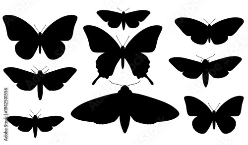 Flying Butterfly and Moth Silhouette Vector Illustration Set