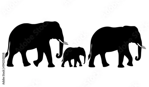 Fototapeta Elephant Family Silhouette African Wildlife Vector Illustration Set