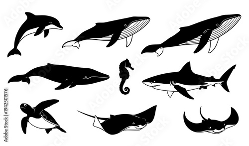 Foto Dolphin and Marine Animals Black Silhouette Vector Set