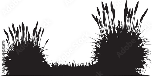 Black Silhouette Vector Illustration of Reeds and Tall Grass Growing in a Marsh or Wetland Environment, Ideal for Nature-Themed Designs and Backgrounds