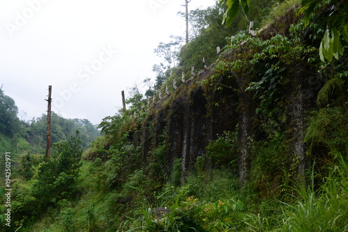 Narrow concrete bridge with colorful graffiti railings leading through a lush green mountain forest under a cloudy sky