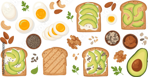 Healthy Avocado Toast Breakfast Collection with Eggs, Whole Grain Bread, Nuts, Seeds, and Fresh Ingredients Nutritious Morning Meal Vector Illustration Set