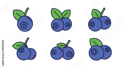 Fresh Blueberries Line art soft pastel abstract vector