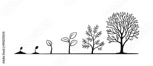 Growth stages of a tree from a green leaf to a natural plant, botanical development concept showing sprout seedling and mature tree progression, nature life cycle illustration in clean vector style