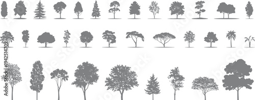 Flat vector tree silhouettes, diverse coniferous and broadleaf foliage design collection