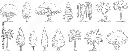 Flat vector diverse tree illustrations, coniferous palm willow ornamental foliage collection