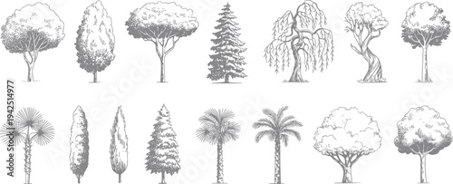 Flat vector diverse tree illustrations, coniferous palm deciduous foliage design collection
