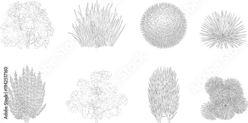 Flat vector illustration set of shrubs grasses botanical landscape design elements