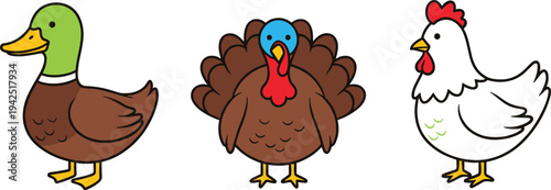 Cute Cartoon Farm Poultry Birds Set Duck Turkey Chicken Adorable Flat Illustration for Kids Animal Designs, Farmyard Clipart, Thanksgiving Holiday Graphics, and Vector Collections