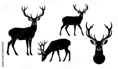 Elegant Deer Silhouette Animal Vector Collection
