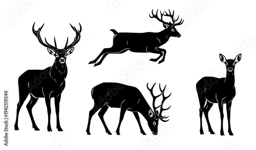 Elegant Deer Animal Silhouette Vector Illustration Pack