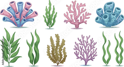 Colorful Marine Coral and Seaweed Vector Set with Tube Sponges, Branching Corals, Green Algae Fronds and Purple Soft Corals, Tropical Underwater Reef Elements Illustration for Ocean Designs