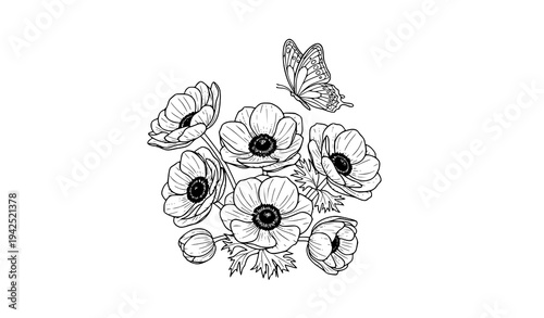 Botanical anemone flower cluster with butterfly outline vector illustration isolated on white