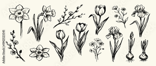 Grunge charcoal or chalk spring summer flower collection. Vector illustration of ink hand drawn wild and garden herbs set. Wax crayon drawings. Floral silhouette elements for scrapbook and collage.