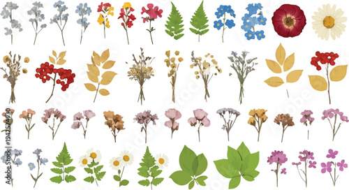 Set of 50 Dried Pressed Flowers and Leaves Vector Collection for Botanical Design, Scrapbooking, and Wedding Invitations