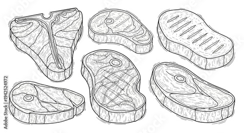 Hand-drawn sketch illustration of various raw beef steak cuts, including T-bone, sirloin, and ribeye, ready for grilling or cooking.