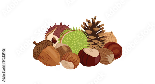 Selection of various autumn seeds and nuts including acorns chestnuts and pine cones for fall season and thanksgiving themed illustrations.