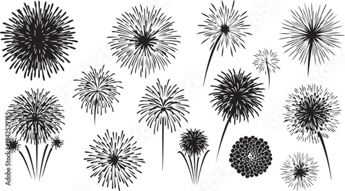 Black and white dandelion flowers illustrations set on white