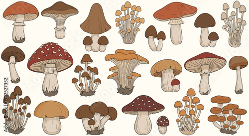Set of various types of edible and poisonous forest mushrooms in a hand drawn sketch style for nature or culinary illustration projects.