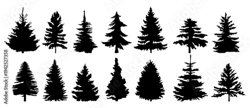Set of twelve evergreen tree silhouettes including pine, fir, and spruce shapes. Minimal black forest icons isolated on transparent background, perfect for nature, landscape, and design projects.