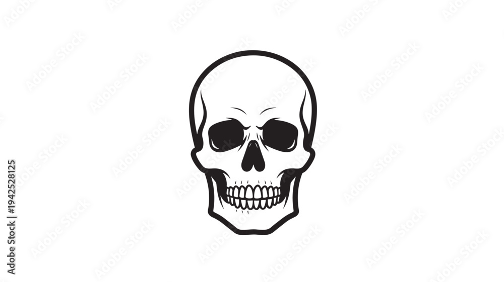 Fototapeta premium Front View Human Skull on WHITE BACKGROUND – Skeleton Head Vector Illustration