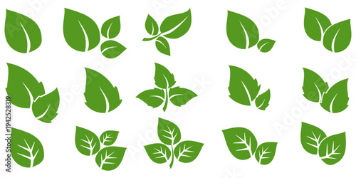 Leaf vector symbol, leaf illustration or leaf emoji in flat style. Spring leaf design, ecological nature theme.	