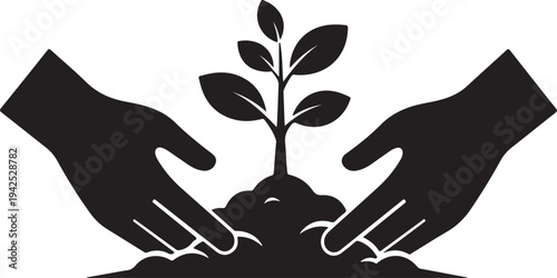Hands nurturing a small plant with care and protection