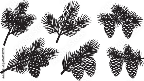 Pine tree branches and cones in black silhouette style