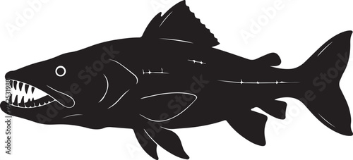  Goliath Tigerfish on white background