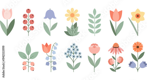 A collection of twelve charming and colorful illustrated flowers and plants in a minimalist style Vector